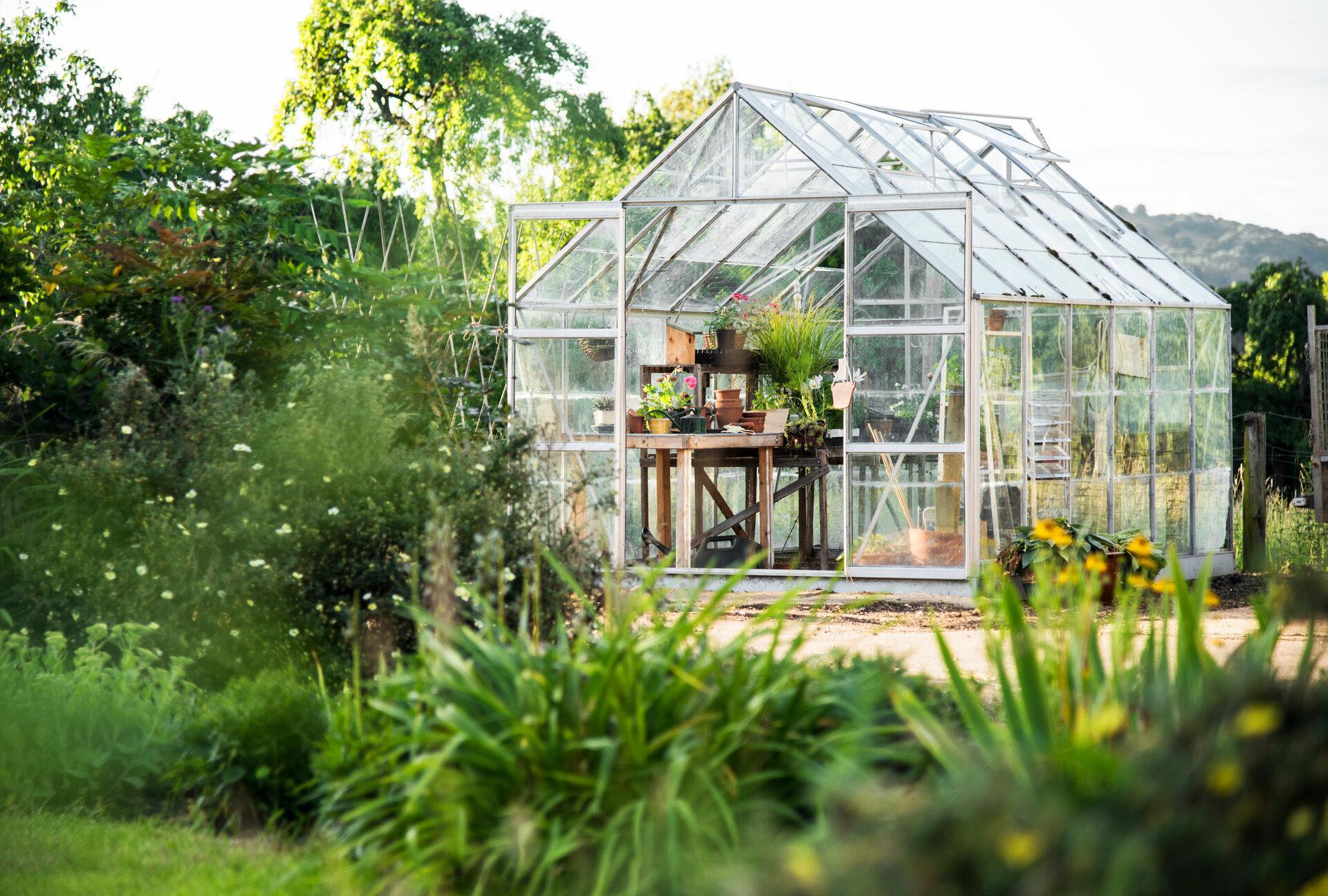 Ein Gewächshaus für den Garten: Darum lohnt es sich
